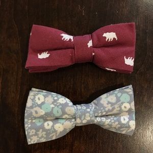Toddler boy bow tie burgundy bear blue floral